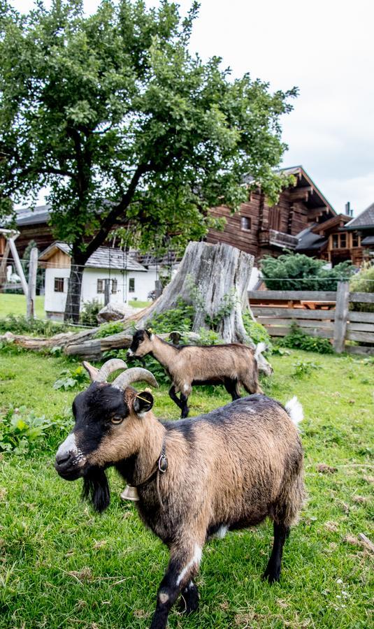 Villa Christernhof Maria Alm am Steinernen Meer Exterior foto